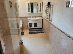 阿拉木图Almaty guest house的一间带水槽、卫生间和镜子的浴室