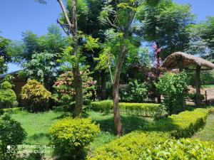 BhurkīāTiger Land Homestay的一座种有树木和灌木的花园