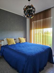 塔尔图Tartu Pajuoja saunamaja的卧室设有一张蓝色的床和大窗户