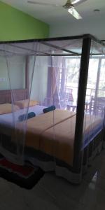 韦利格默Jagabay Resort & Surfing School的一间卧室配有两张带蚊帐的床