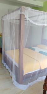 韦利格默Jagabay Resort & Surfing School的一张带天蓬的床