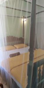 韦利格默Jagabay Resort & Surfing School的配有窗帘的客房内的两张床