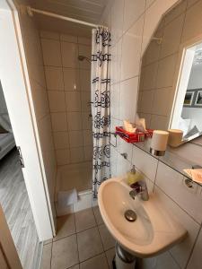 石勒苏益格德斯特施尔酒店的一间带水槽和淋浴的浴室