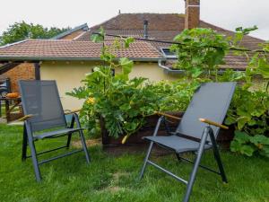 梅斯尼圣佩尔Maison chaleureuse avec son bain enchanté !的两把椅子坐在院子里的草地上