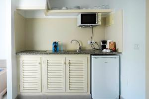 埃斯卡洛艾斯卡罗公寓的一间带水槽和冰箱的小厨房