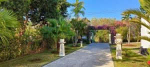 乌明亚Villa Lilly Sea View Pool Villa的穿过种有棕榈树和植物的花园的步道