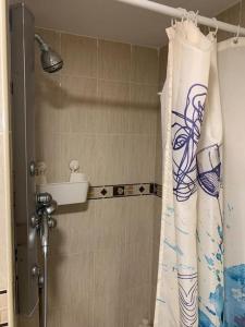 马拉加Apartamento situado a 3minutos del PTA campanillas的带淋浴和浴帘的浴室