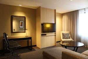 圣米格尔·德·图库玛图库曼希尔顿花园酒店的酒店客房配有一张床、一张书桌和一台电视。