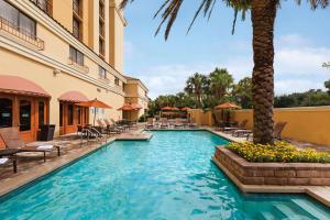 奥兰多奥兰多国际大道会展中心希尔顿合博套房酒店的一座游泳池,位于酒店,设有椅子和棕榈树