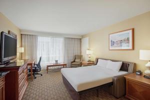 西塔科希尔顿西雅图机场酒店和会议中心的配有一张床和一台平面电视的酒店客房