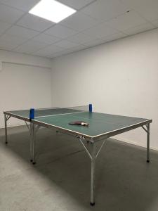 斯德哥尔摩波罗玛旅舍的一张乒乓球桌,上面有乒乓球台