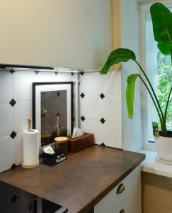 希奥利艾Petite City Centre Apartment的浴室设有镜子和植物台面