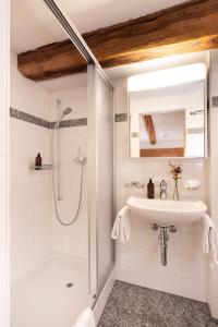 切勒里纳凯萨罗萨兹酒店 - 食物之家的带淋浴和盥洗盆的白色浴室