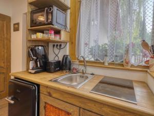 锡尔沃斯瓦里德Nyírfa-Lak Apartman的带水槽的厨房台面和窗户