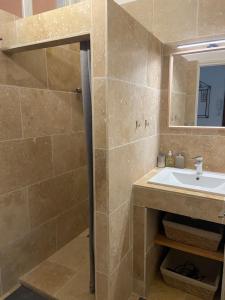 尼斯Bel appartement de 40m² à louer的一间带水槽和镜子的浴室