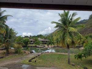 HauruFare Mihiau的享有棕榈树和房屋的河流美景。