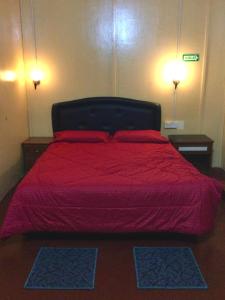 瓜拉大汉D view hill hotel的一间卧室配有红色的床和两个枕头