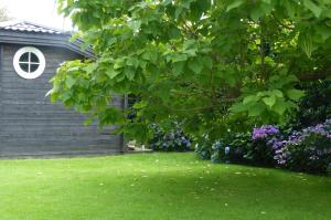 瓦夫尔Wood-and-work的绿草和紫色花的院子和房子