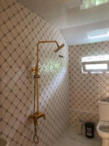 GordiHotel Okatsia სასტუმრო ოკაცია的带淋浴的浴室和卫生间