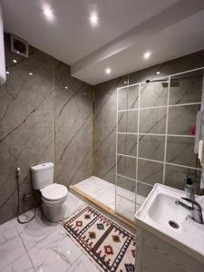 亚喀巴Luxury 4-bedrooms apartment的带淋浴、卫生间和盥洗盆的浴室