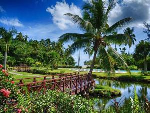 拉斯特拉纳斯RIBERAMAR Las Terrenas, Samana的一条木桥,横跨一条棕榈树的河流