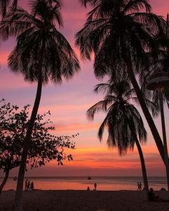 Puerto de GairaMigaloo Hostal Rodadero的海滩上的两棵棕榈树,日落