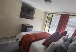 比勒陀利亚Lasev Resort的一间卧室配有一张床、一张沙发和一台电视。