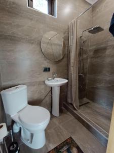 阿拉木图Янтарь Уютный горный домик的浴室配有卫生间、盥洗盆和淋浴。