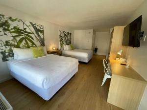 基西米Newly renovated room in cozy hotel near Disney的酒店客房设有两张床和一台平面电视。