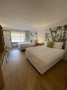 基西米Newly renovated room in cozy hotel near Disney的一间设有两张床和窗户的大卧室