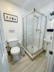 迈阿密Nuvole Guest Suite的带淋浴、卫生间和盥洗盆的浴室