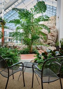 伦敦莱姆布莱特尔旅馆及会议中心贝斯特韦斯特PLUS酒店的花园内摆放着两把椅子和一张桌子