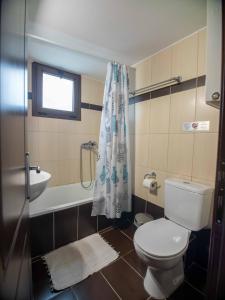 KariófitonKaryon Apartments的浴室配有卫生间、盥洗盆和淋浴。