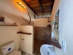 南圣胡安Four Trees Jungle Lodge的带淋浴、卫生间和盥洗盆的浴室