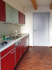 萨斯尼茨苏姆斯坦沃格特公寓的一间厨房,配有红色橱柜和红色门