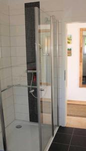 萨加尔德Ferienhaus Frieda的浴室里设有玻璃门淋浴