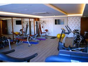 安卡瓦皇家Spa酒店 的健身中心和/或健身设施