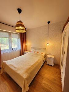 博尔斯克Borsk Sielanka的一间卧室配有一张大床和两个吊灯