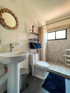 巴亚尔塔港Condo Temis Vallarta的一间带水槽、卫生间和镜子的浴室