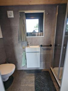 MiddelaarKlavertje 4的浴室配有卫生间、盥洗盆和淋浴。