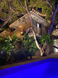 杰里科科拉Villa Mango Jeri的前面有一个蓝色泳池的房子