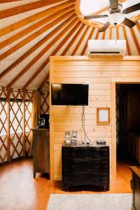 布赖森城Tuckaseegee @ Sky Ridge Yurts的一间设有电视和天花板的墙壁客房