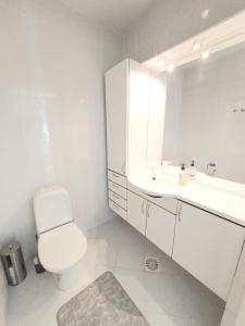 许温凯Paritalohuoneisto, semi-detached house的白色的浴室设有卫生间和水槽。