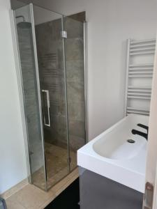 VillemusMaison en plein nature的带淋浴和白色盥洗盆的浴室