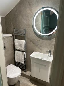 IrvinestownCastle Irvine Estate的一间带卫生间、水槽和镜子的浴室