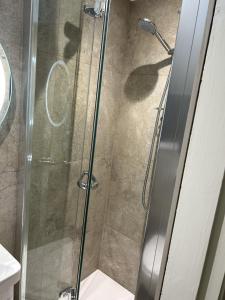 IrvinestownCastle Irvine Estate的浴室里设有玻璃门淋浴