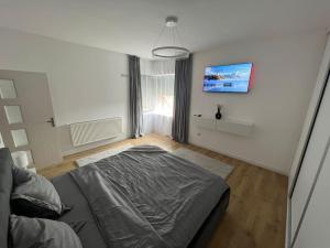 Moşniţa NouăCiki’s modern apartament的卧室配有一张床,墙上配有电视。