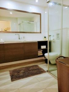 荷兹利亚Feeling Home Garden Apartment的一间带水槽、卫生间和镜子的浴室