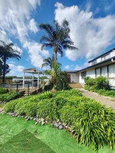 汉密尔顿Fiji Vibe 4 Bedroom Oasis in Rototuna North的院子前有棕榈树的房子