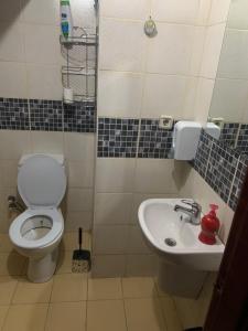 AltındağAltunlar erkek ögrenci yurdu的一间带卫生间和水槽的浴室